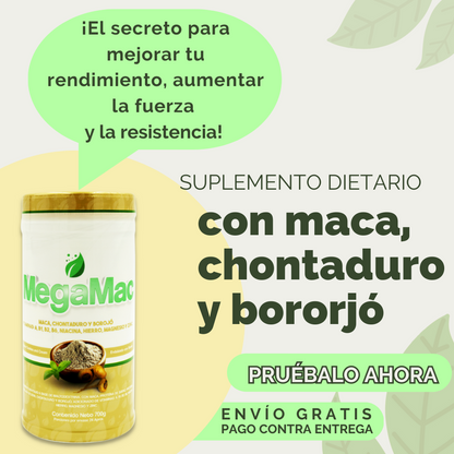 Suplemento natural
Energía y potencia
Vitalidad diaria
Refuerzo inmunológico
Salud masculina
Cuidado de la próstata
Ciclo menstrual
Proteínas en polvo
Alimento saludable
Antioxidantes naturales