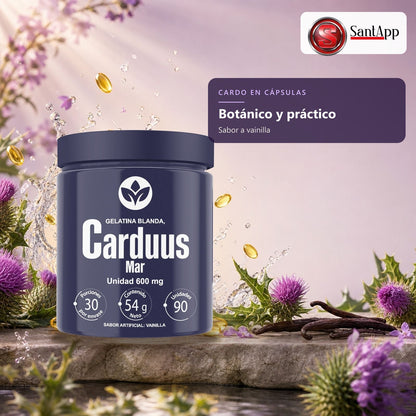 Cápsulas blandas de cardo, ingrediente botánico