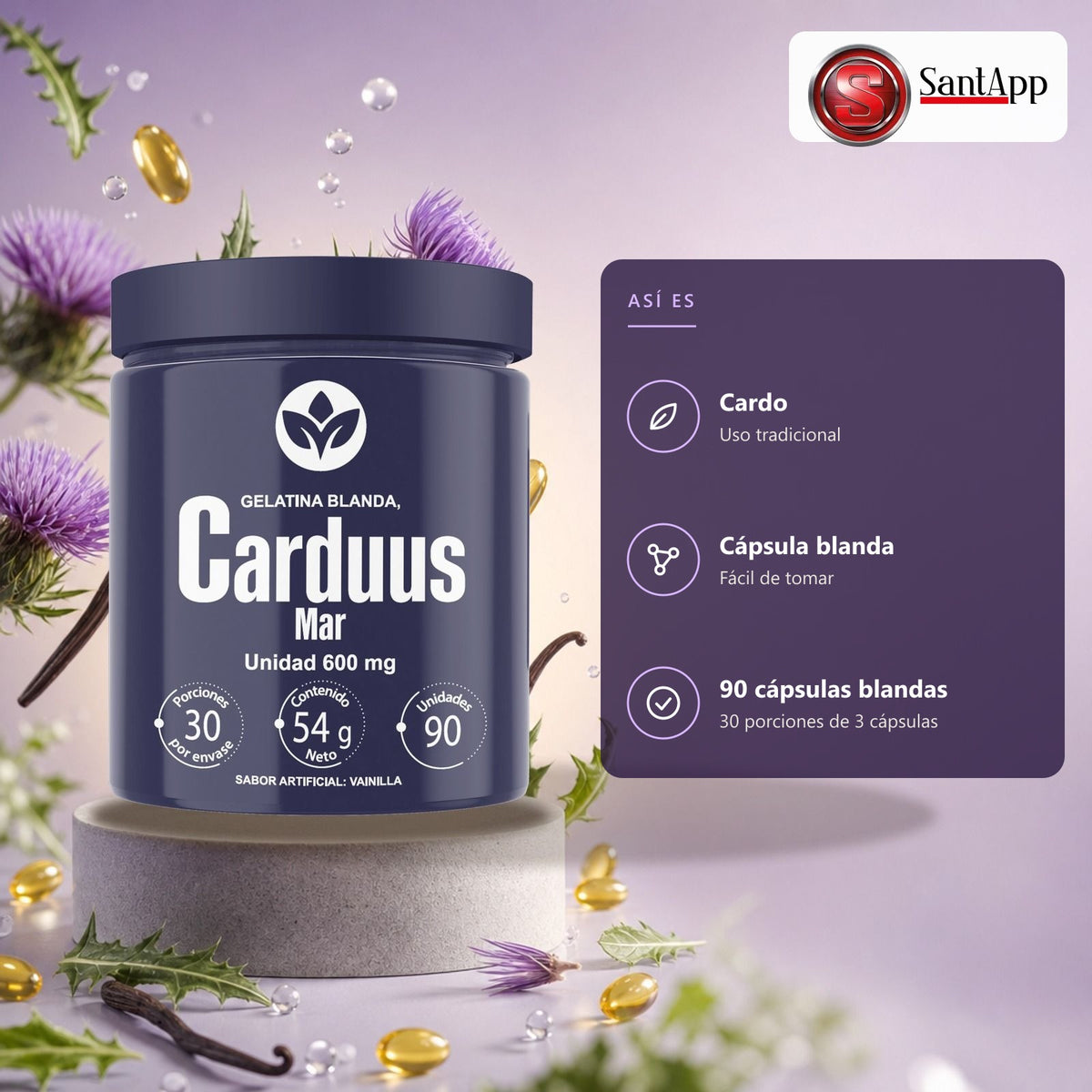Carduus Mar Vitalcom: así es por dentro