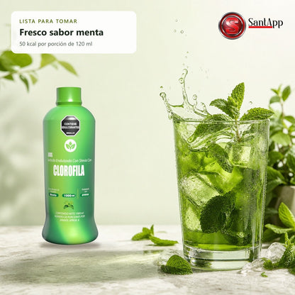 Vaso de clorofila líquida con hielo y menta