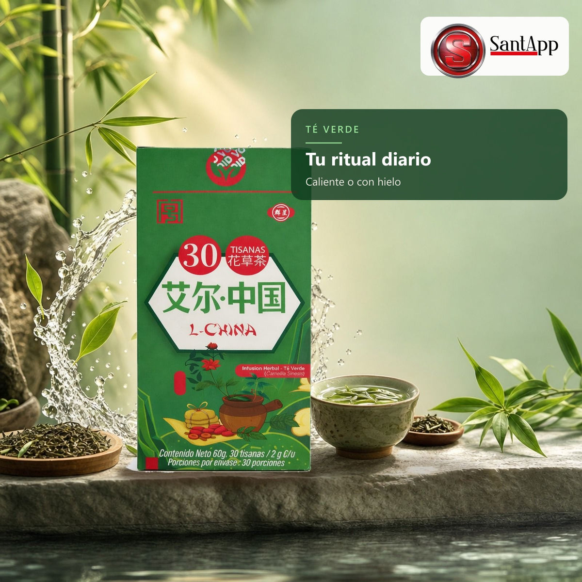 Té verde Camellia sinensis en tisanas