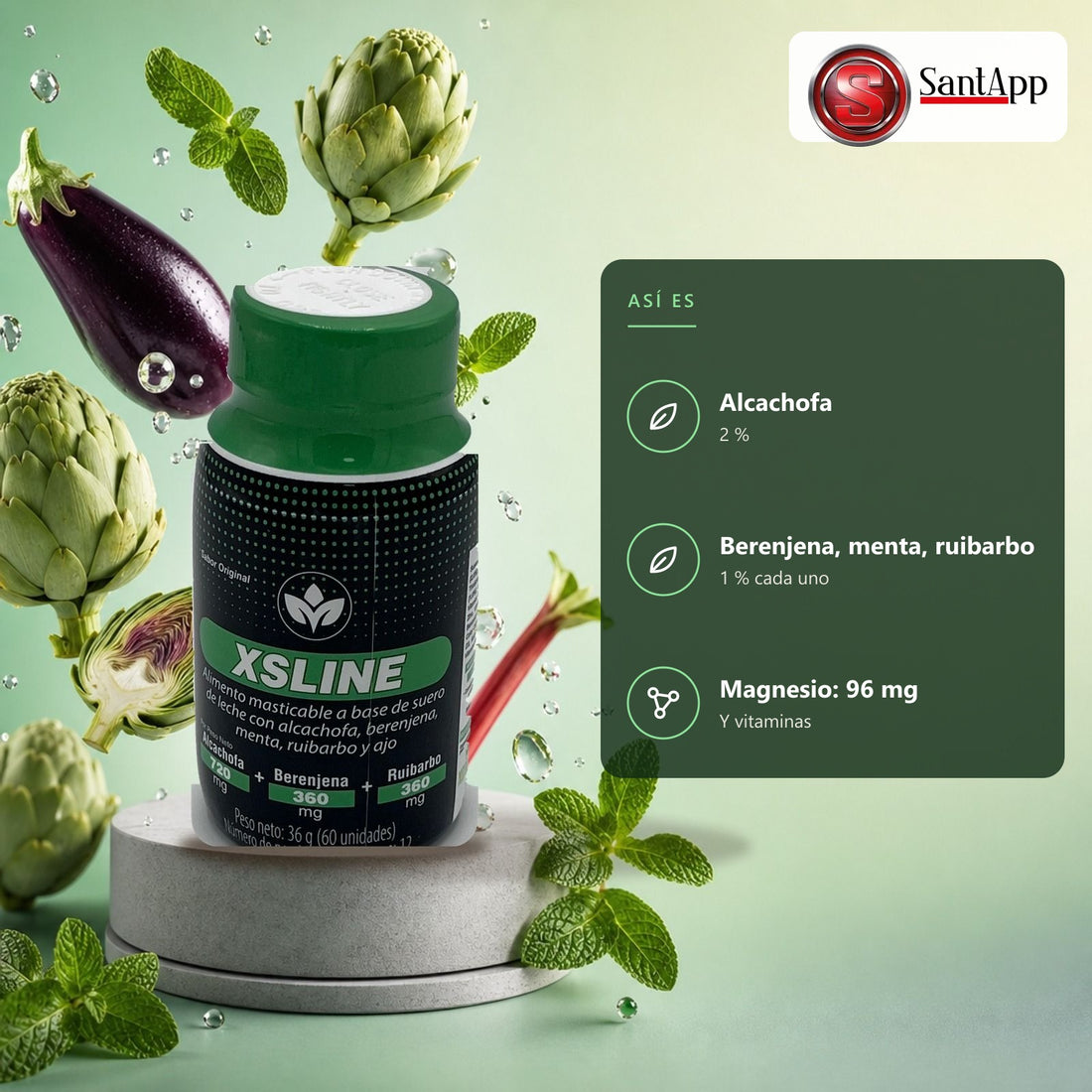 XSLine Vitalcom: así es por dentro