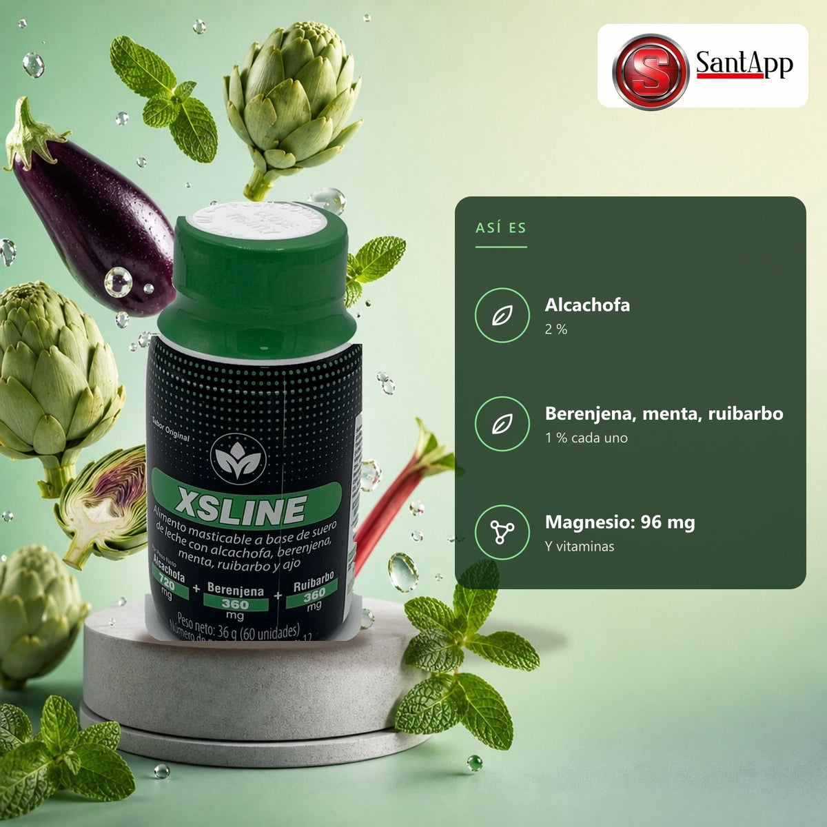 XSLine Vitalcom: así es por dentro